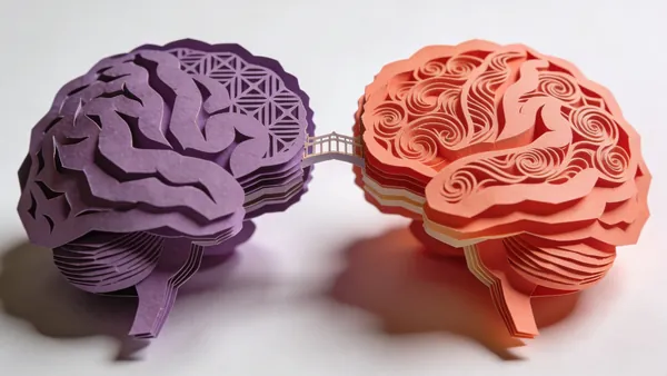LLMs Confabulate Like Split-Brain Patients